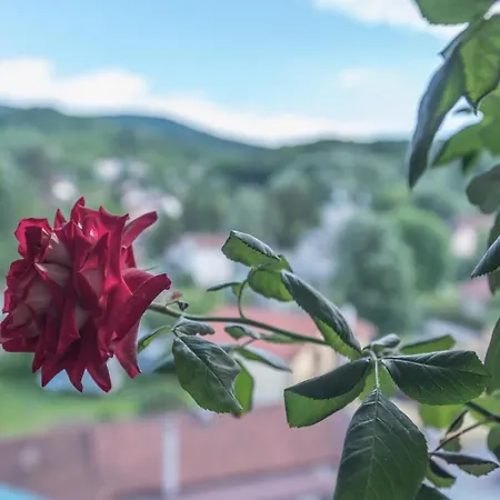 Onore dell’amore Banja Koviljača Esterno foto