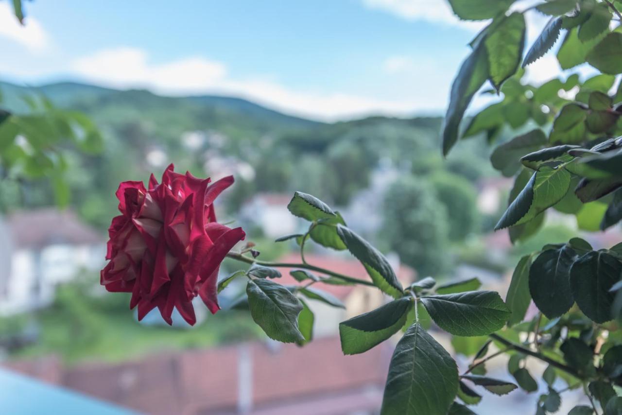 Apartment Onore Dell Sa Djakuzijem *