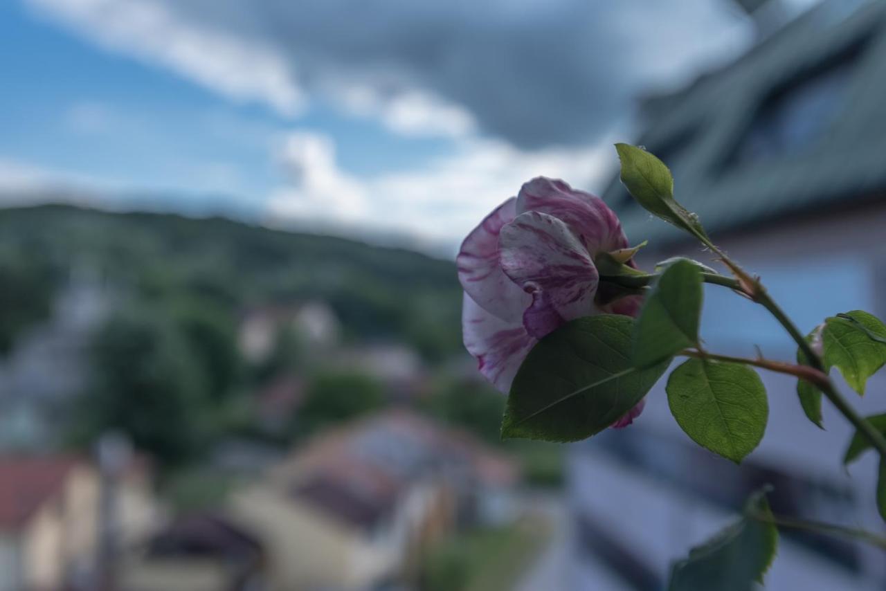 Onore Dell Sa Djakuzijem Apartment *